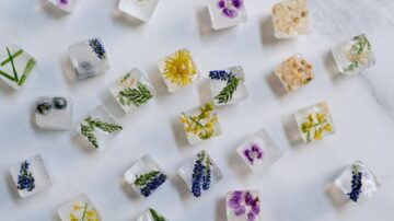 Po jakim czasie zaczyna działać melisa – co warto wiedzieć przed zastosowaniem