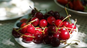 Błonnik pokarmowy – dlaczego ma tak duże znaczenie dla zdrowia