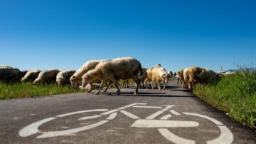 Rodzinne wycieczki rowerowe z narowery.visitmalopolska.pl