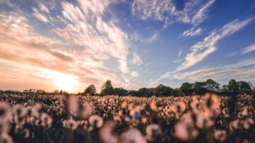 Justina Kozan: cztery złota dla USA, teraz zwycięża dla Polski