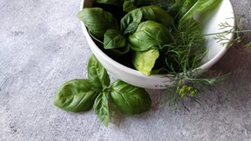 Jakie zioła na refluks żołądka stosować i kiedy mogą realnie pomóc?